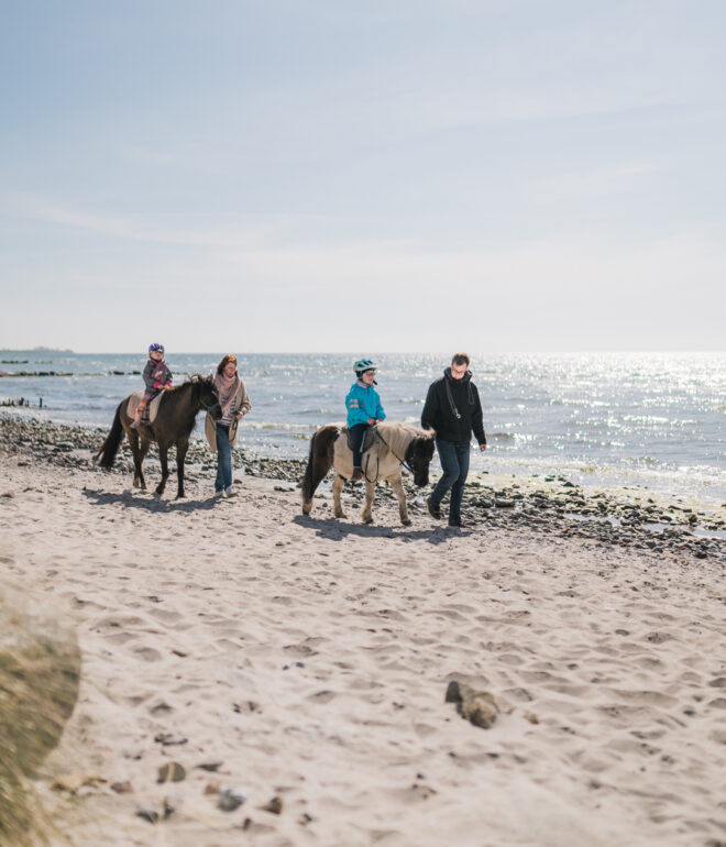 Ein Reiterträumchen: am Meer und durch das Meer reiten